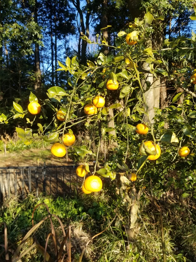 20211222_081652_copy_2268x3024