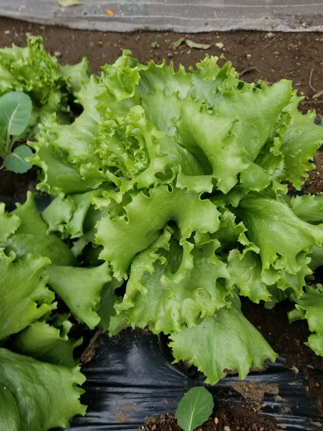 20240225_083320_copy_2268x3024