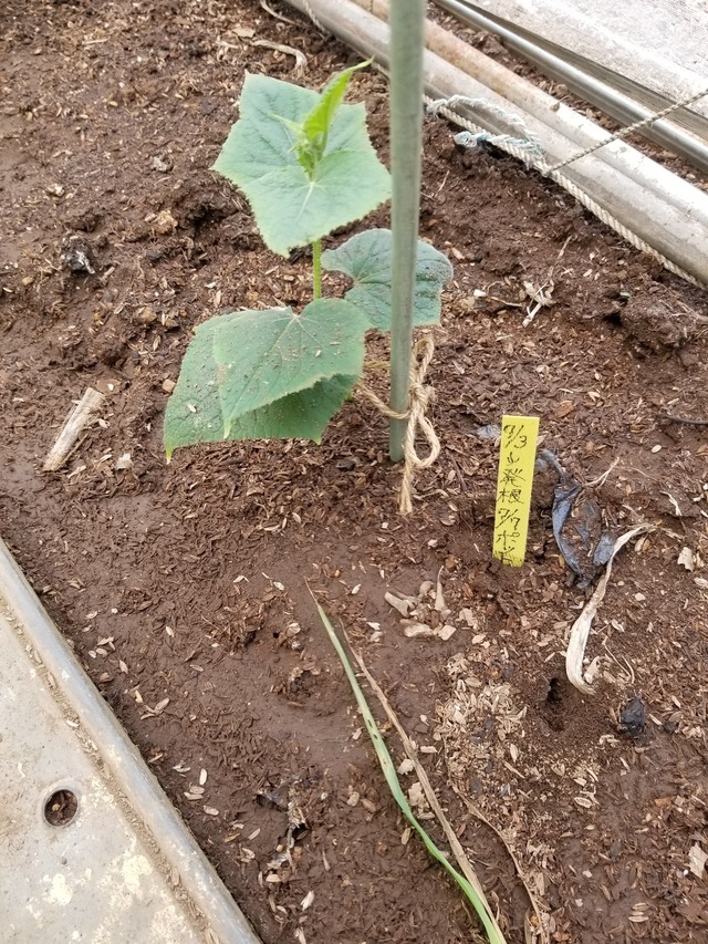 20230719_093959_copy_1512x2016