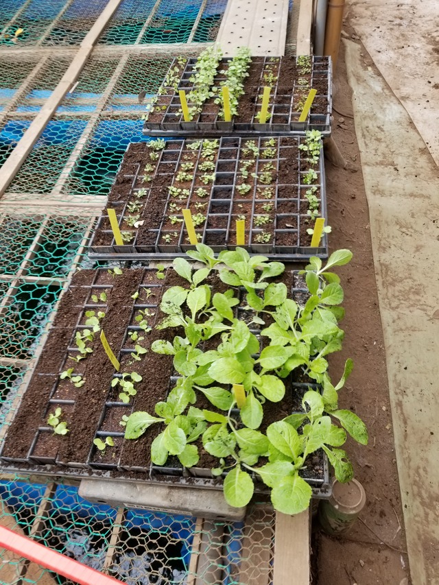 20210917_081550_copy_2268x3024