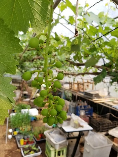 20190531_083401-1620x2160