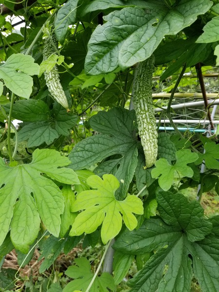 20190724_091008-1620x2160