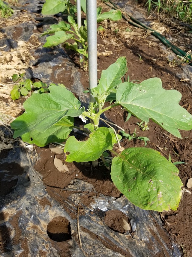 20220630_080318_copy_1512x2016