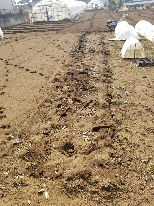 20240215_102646_copy_2268x3024