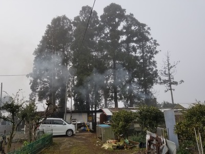 20200214_081837-3024x2268