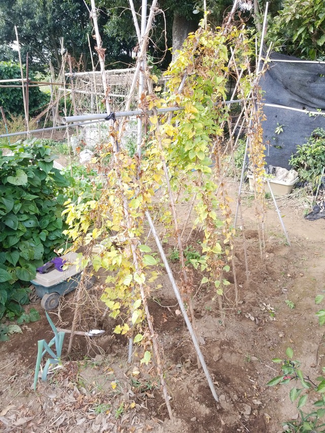 IMG_20231025_150711_copy_1512x2016