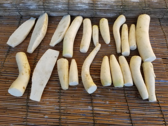 20191204_080756-2160x1620