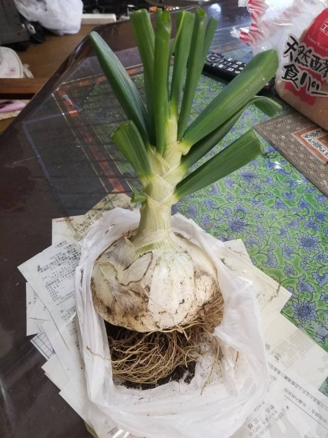 1686804414701_copy_831x1107