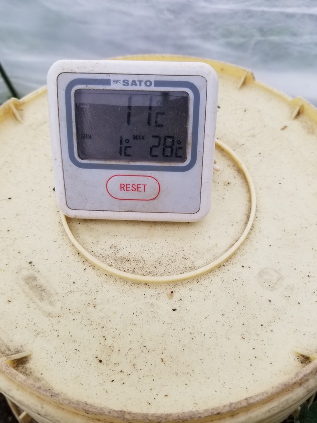 20231219_093831_copy_1512x2016