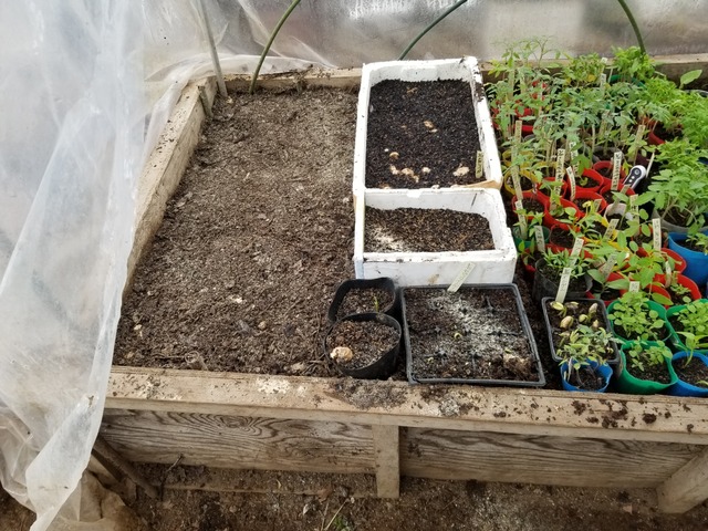 20200329_151821_copy_3024x2268