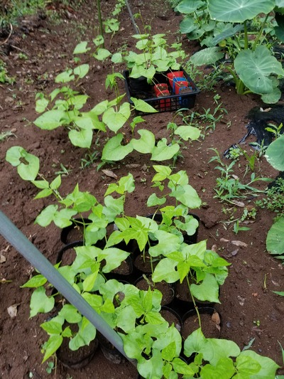 20190624_091526-1620x2160