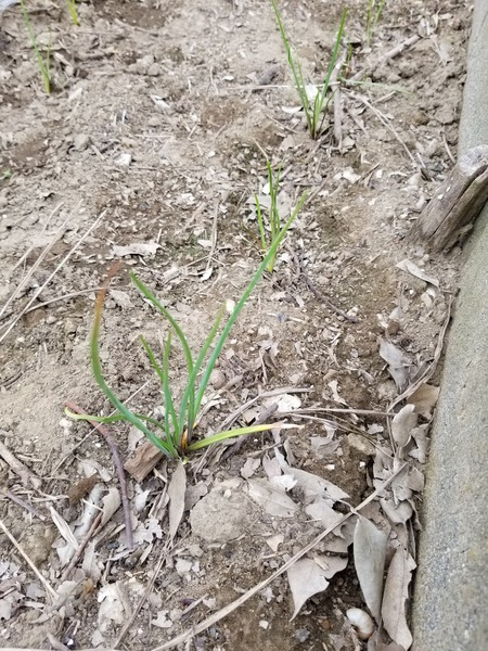 20190905_084843-1620x2160