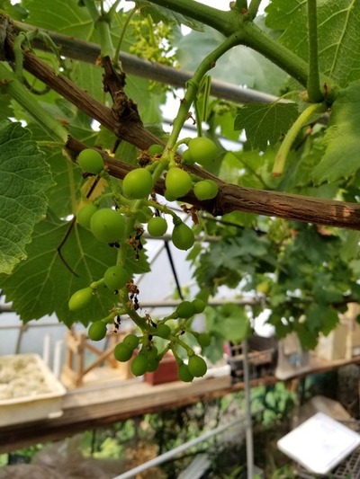 20190531_083456-1620x2160