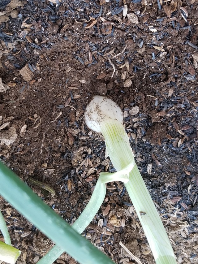 20230110_084139_copy_1512x2016