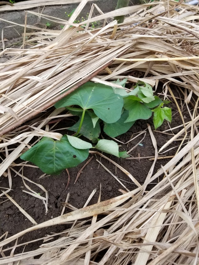 20230628_095911_copy_1512x2016