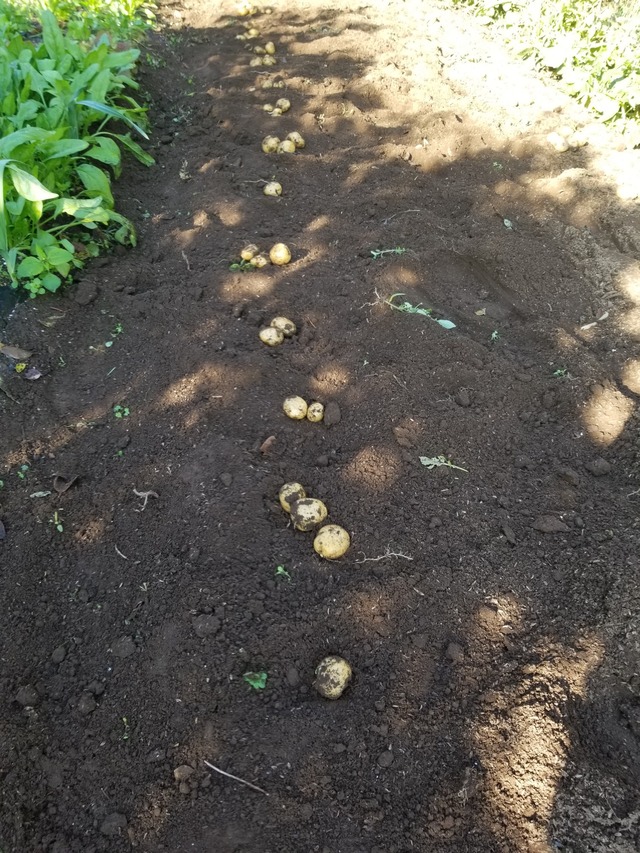 20231124_092352_copy_1512x2016