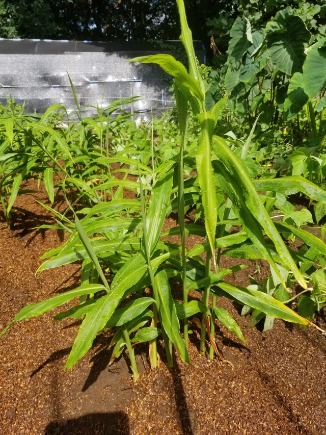 20230819_091022_copy_1512x2016