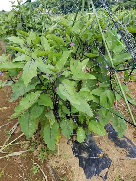 20190731_093210-1620x2160