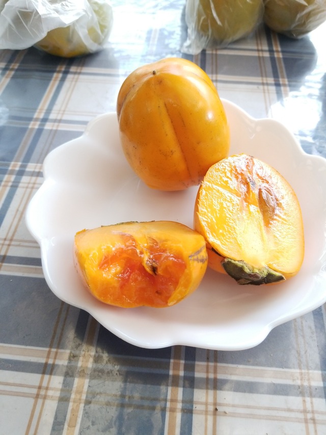 IMG_20231018_111227_copy_1512x2016