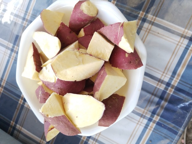 IMG_20231003_102434_copy_2016x1512