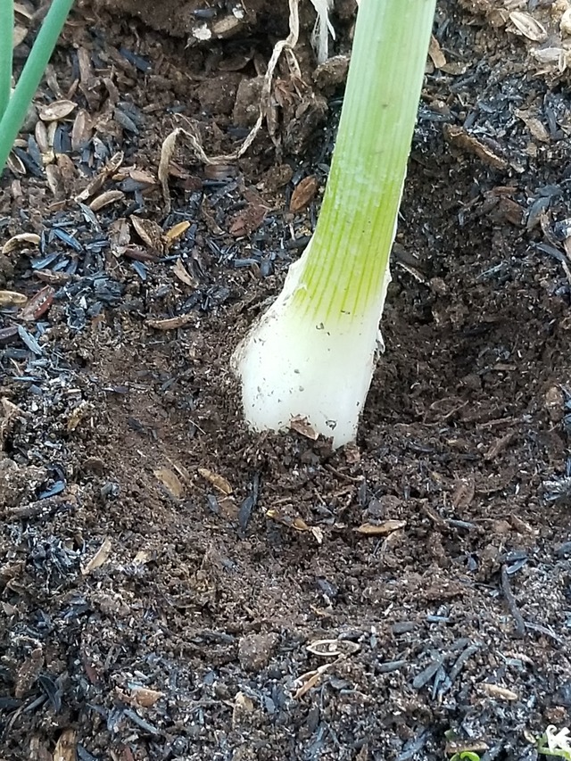 20230110_084023_copy_1512x2016