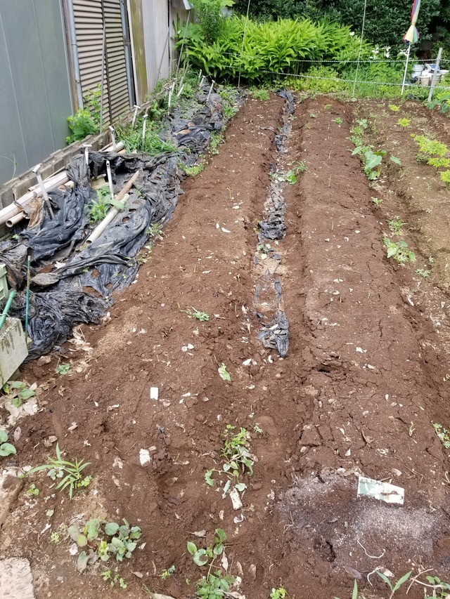 20210625_083359_copy_2268x3024