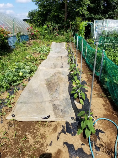 20190710_091204-1620x2160