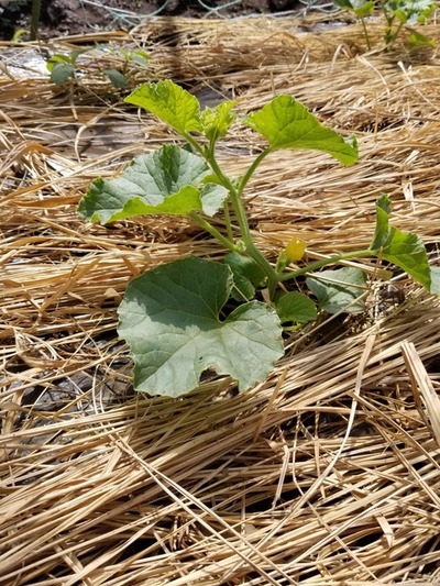 20190522_092533-1620x2160