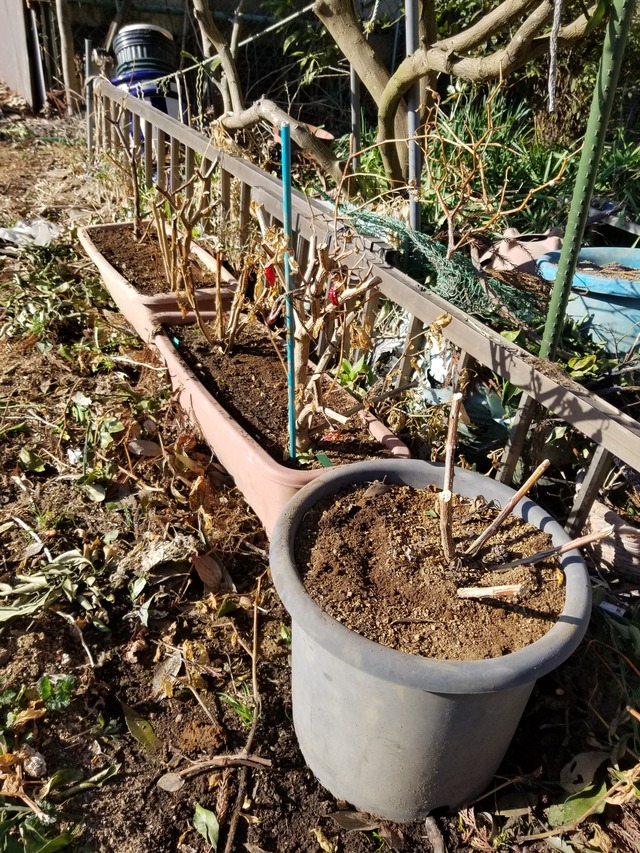 20240218_090440_copy_2268x3024