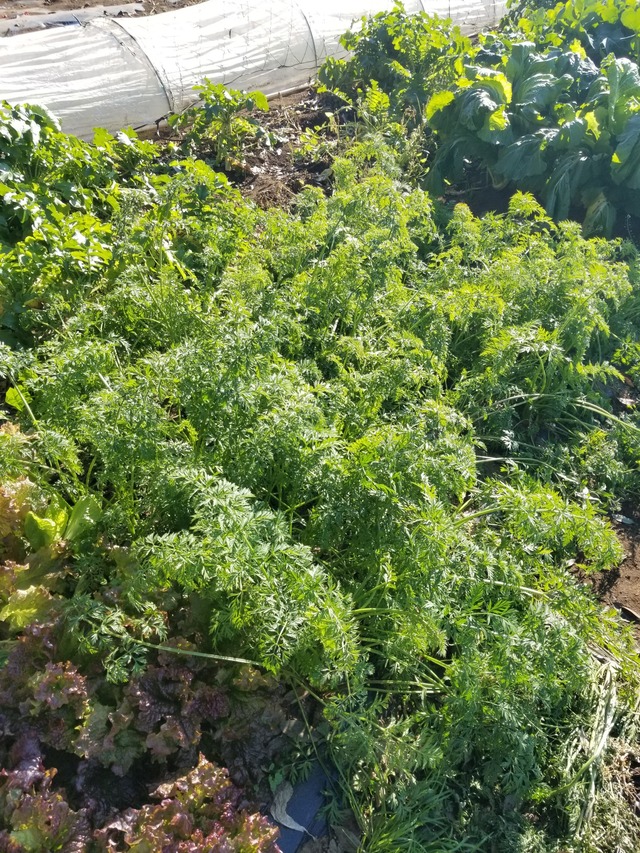 20231221_102710_copy_1512x2016