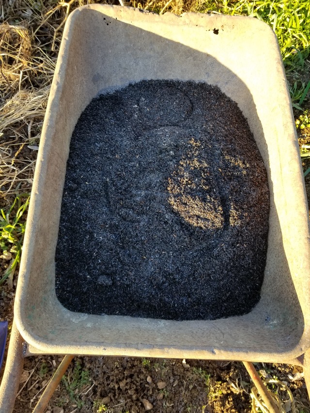 20211223_073712_copy_2268x3024