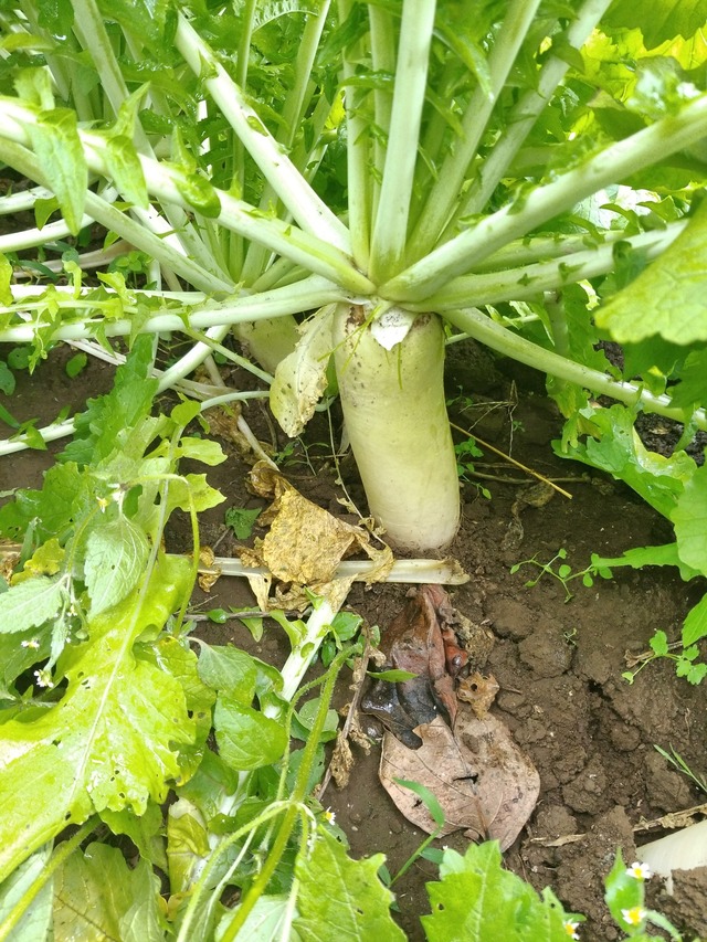 IMG_20231112_102033_DRO_copy_1512x2016