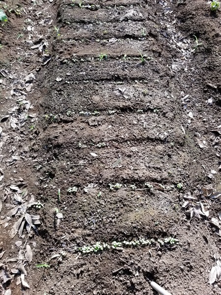 20190927_084305-1620x2160