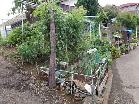 20190706_182137-2160x1620