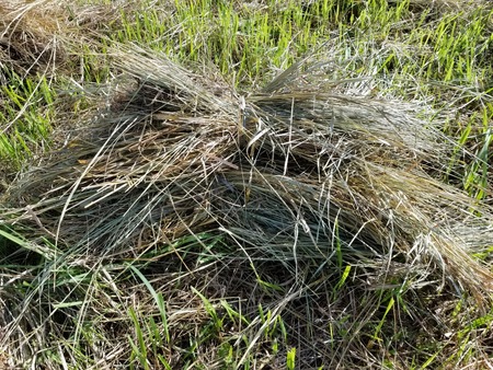 20190907_080210-2160x1620