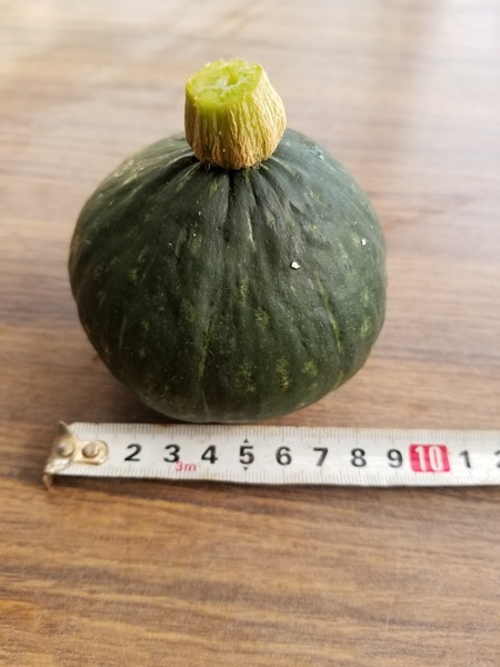 20190925_082748-1620x2160