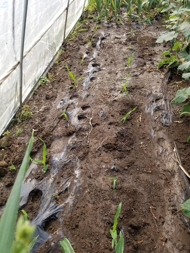 20230522_150820_copy_2268x3024