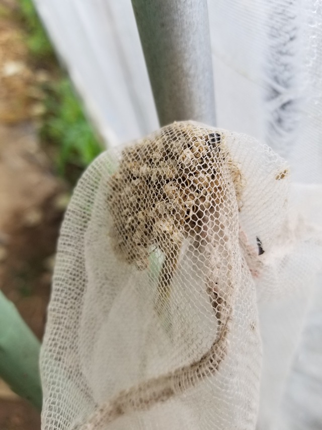 20230615_080047_copy_1512x2016