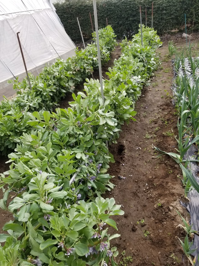 20240412_082013_copy_2268x3024