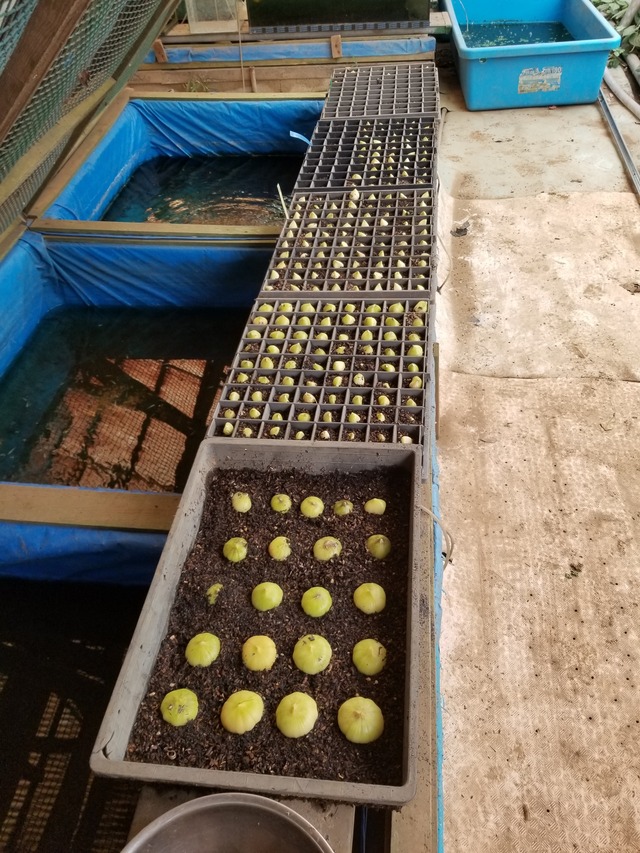 20220927_134153_copy_2268x3024