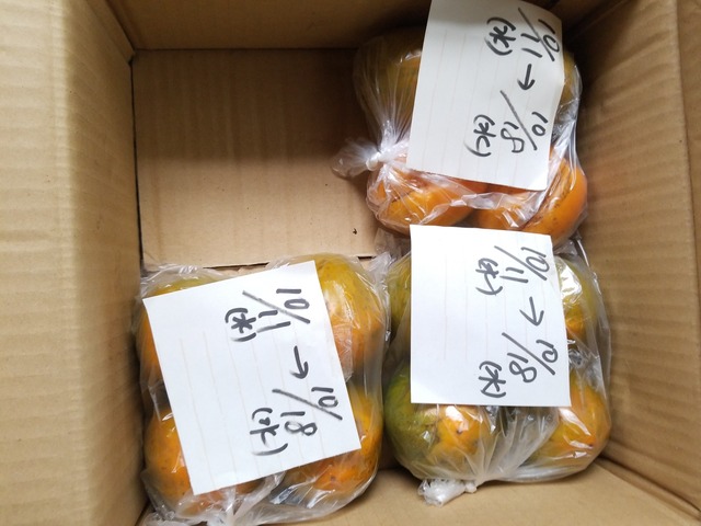 IMG_20231018_111008_copy_2016x1512