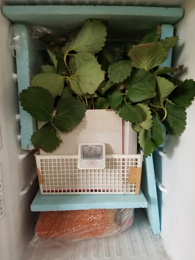 20230821_104320_copy_1512x2016