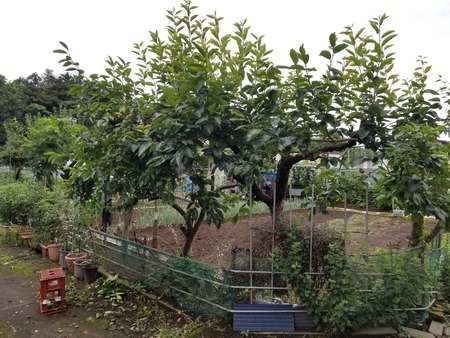 20190706_131004-2160x1620