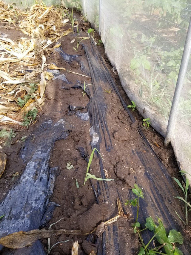 20220709_152810_copy_1512x2016