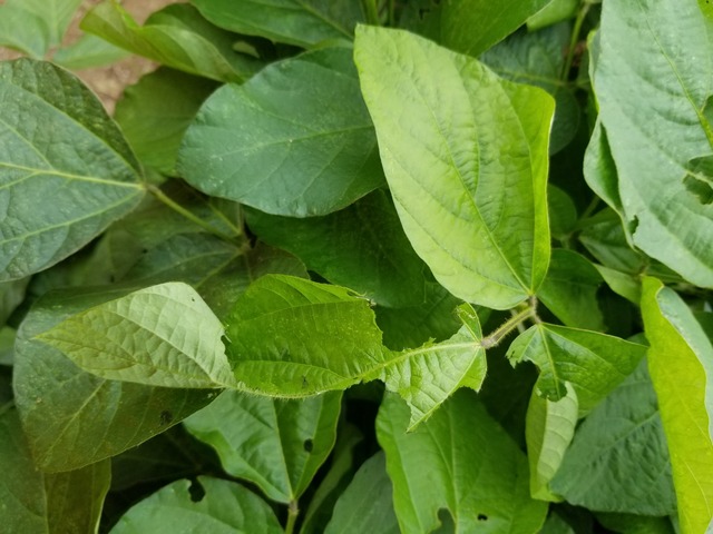 20200831_091547_copy_2268x1701