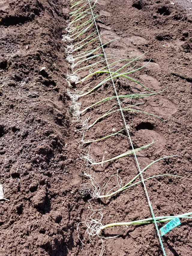 20230319_101508_copy_1209x1612