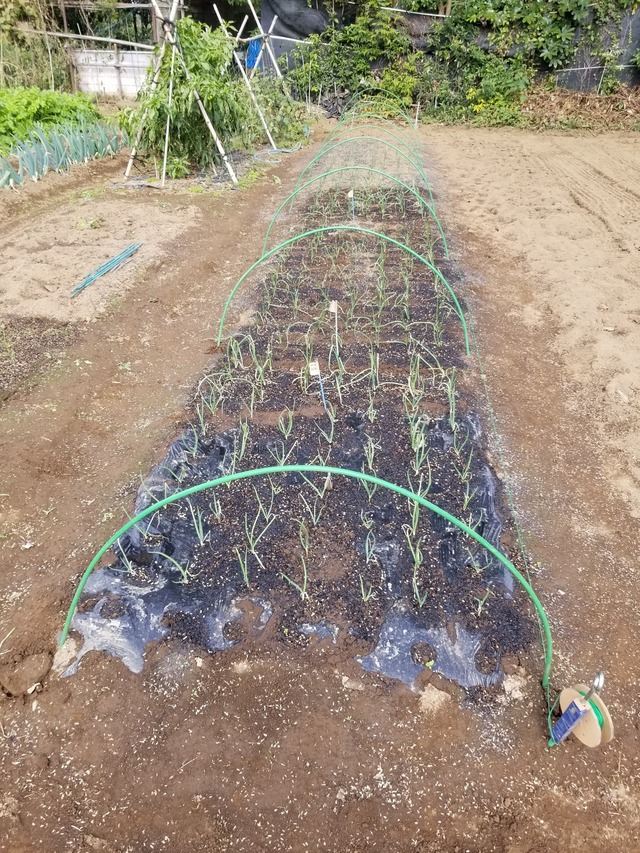 20221028_102009_copy_1512x2016