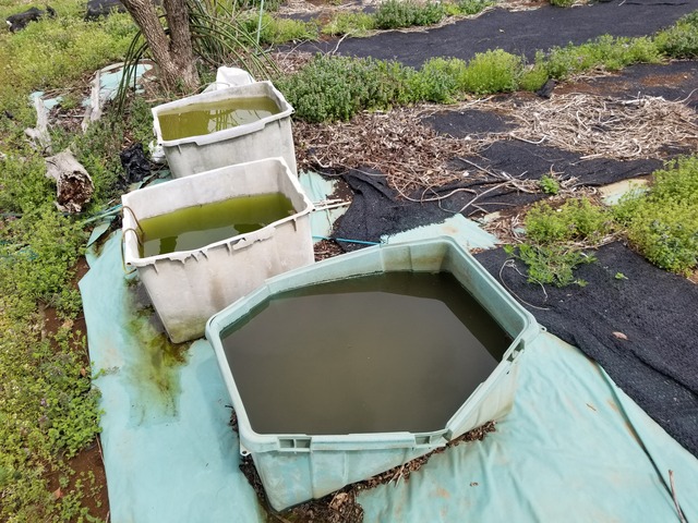 20240407_104354_copy_3024x2268_2