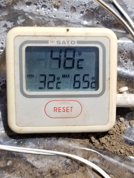 20190804_134659-1620x2160