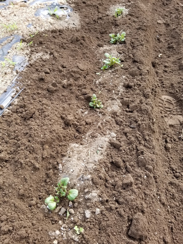 20210917_083610_copy_2268x3024